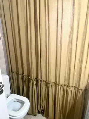 a bathroom with a shower curtain and a toilet at Departamento Altas in Cordoba