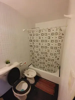 a bathroom with a toilet and a shower curtain at Departamento Urquiza 269 in Cordoba