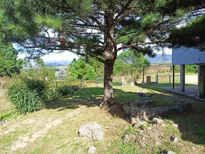 a tree sitting in the grass next to a building at Terrazas de Yacanto in Villa Yacanto
