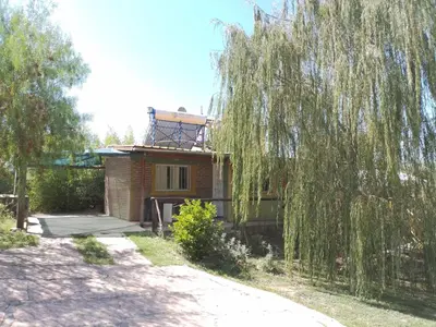 a house with a willow tree in front of it at Cabañas Cangas de Onis MAYU SUMAJ in Villa Icho Cruz