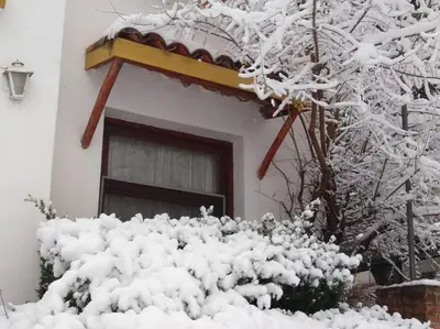 a snow covered bush in front of a house at HOSTERÍA ARROYO CRISTAL in Cavalango