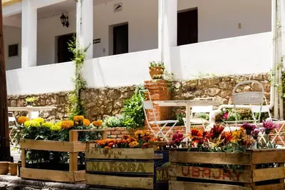 a display of flowers in wooden boxes in front of a building at HOSTERÍA ARROYO CRISTAL in Cavalango
