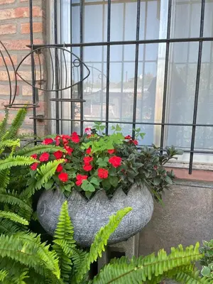 a vase filled with red flowers in a window at Casa Lavanda in Embalse