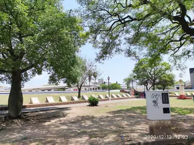 a box with graffiti on it sitting under a tree at Coral State Premium Tower in Cordoba