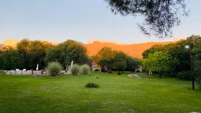 a park with trees and birds in the grass at Pueblo Santo, Cabañas & Suites in San Javier