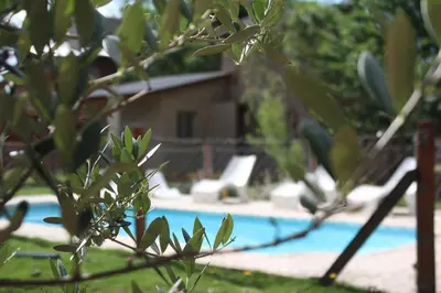 a view of a swimming pool through a tree at Rancho Pampa in Villa Ciudad Parque