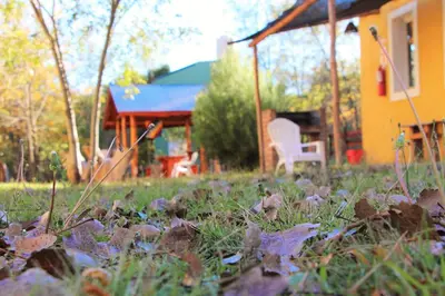 a yard with leaves in the grass in front of a house at Rancho Pampa in Villa Ciudad Parque