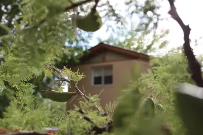 a house is seen through the leaves of a tree at Rancho Pampa in Villa Ciudad Parque