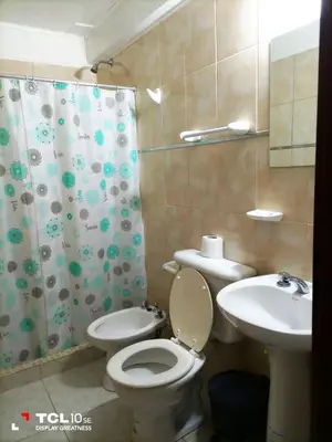 a bathroom with a toilet and a sink at Departamentos Los Almendros in Merlo
