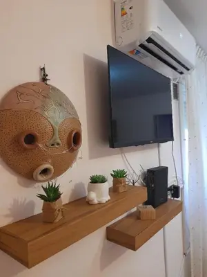 a television and a mask hanging on a wall at Mi lugar, tu lugar in Cordoba