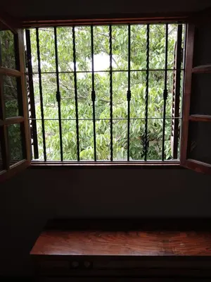 a window with a view of a bush at Complejo La Tere- depto 1 in Cordoba