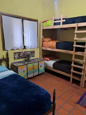 a bedroom with two bunk beds and a ladder at Hostel del pueblo in Amboy
