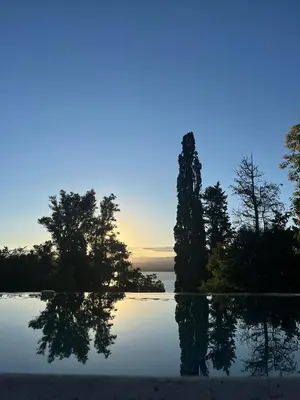a reflection of trees in a pool of water at Vista Alago in Villa Ciudad Parque