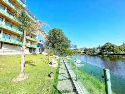 a building with a palm tree next to a river at Depto en pleno centro con pileta, cochera, hermosa vista in Villa Carlos Paz