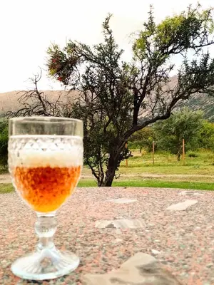 a glass of beer sitting on a table at Cabaña Los Espinillos in Cortaderas