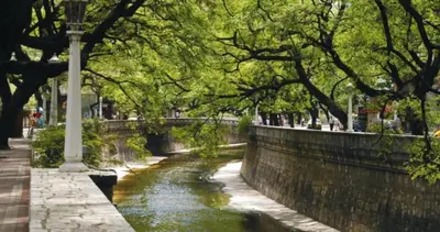 a river in a park with trees and a street light at cordoba departamentos por dia cañada in Cordoba