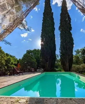 a pool in front of two tall trees at Cabañas spa el petrel in San Javier