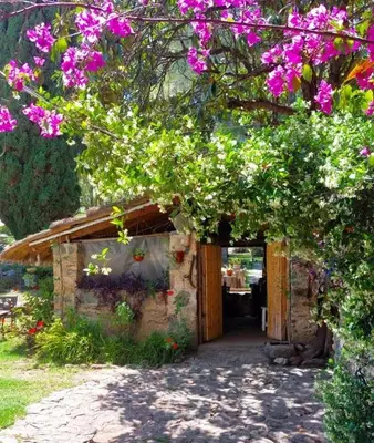 a small building with pink flowers on it at Cabañas spa el petrel in San Javier