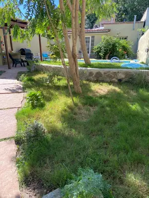 a garden with a tree in the middle of a yard at La Casita Yogui in Santa Rosa de Calamuchita