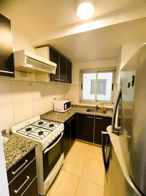 a small kitchen with a stove and a sink at Elegante en B° General Paz in Cordoba
