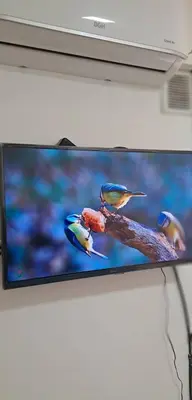 a television with three birds perched on a branch at AL TOQUE DEL OLMOS Luminoso y confortable in Cordoba
