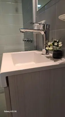 a bathroom sink with a faucet and a plant on it at AL TOQUE DEL OLMOS Luminoso y confortable in Cordoba