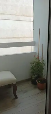 a room with a window and a bench and plants at Adri in Cordoba