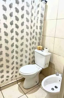 a bathroom with a toilet and a shower curtain at Departamento Triana in Cordoba