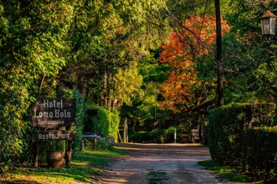 a tree lined road with a sign in the middle at Hotel Loma Bola in La Paz