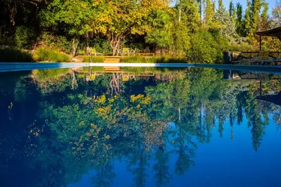 a reflection of trees in a pool of water at Hotel Loma Bola in La Paz
