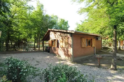 a small brick house in the middle of a forest at Bosque Encantado Cabañas in Villa Icho Cruz