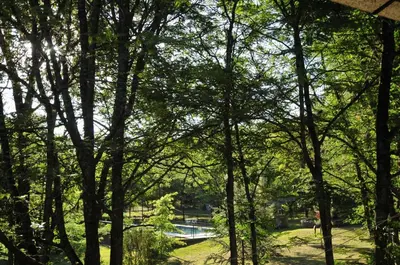 a view of a park with trees and a pond at Bosque Encantado Cabañas in Villa Icho Cruz