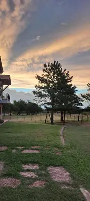 a tree in the middle of a grass field at Ayres del Golf Posada-Restó in Merlo
