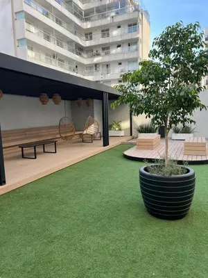 a garden with a tree in a large pot at Premium tower apart Parking gratis in Cordoba