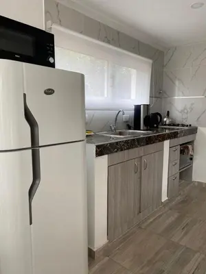 a kitchen with a white refrigerator and a sink at Cuatro vientos 2 in Santa Rosa de Calamuchita