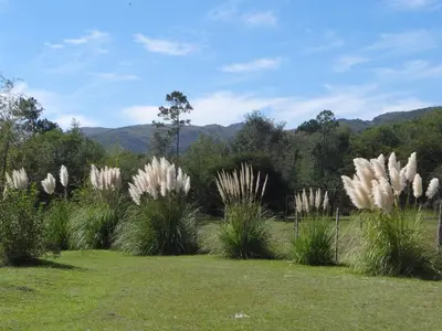 Gallery image of Cabañas del Espinillo in Villa General Belgrano
