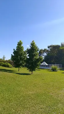 two trees in a field with a building in the background at Complejo BETELGEUSE in La Estancia