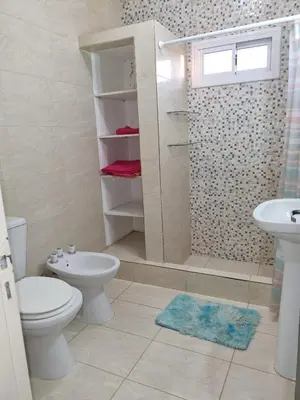 a bathroom with a toilet and a sink and a shower at Hermoso Departamento en Quines in Quines