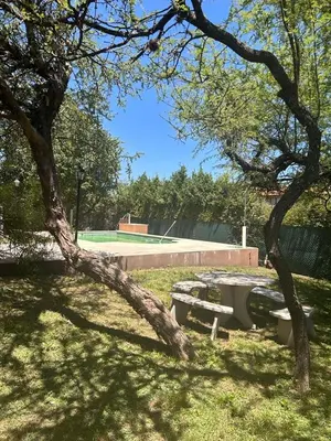 a tree leaning over a bench in a park at El Recuerdo in Merlo