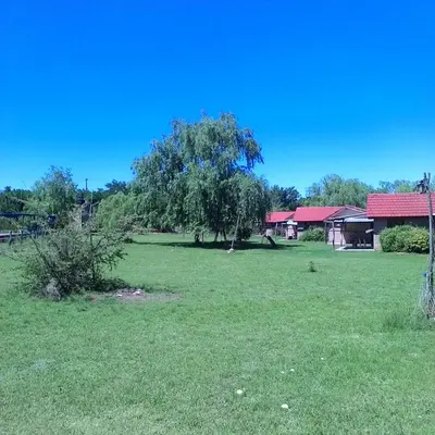 a large field with a house and a tree at Cabanas Parparim in Mina Clavero
