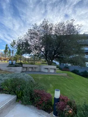 a park with benches and a tree and a building at departamento complejo Veneto Village con vista al lago in Villa Parque Siquiman