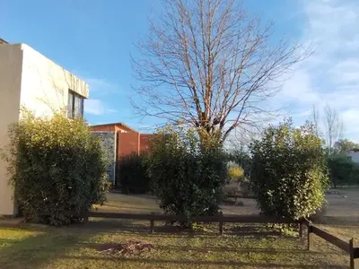 a tree in a yard next to a fence at Paraíso Serrano 6 in Villa Ciudad Parque