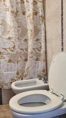 a bathroom with a toilet and a shower curtain at Departamento Quirós in Cordoba
