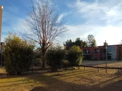 a tree in a yard with bushes and a fence at Paraíso Serrano 17 in Villa Ciudad Parque