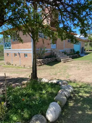 a tree in front of a building with rocks around it at La Herminda Casas de Campo in Nono