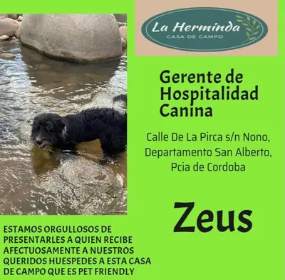 a black dog standing in the water next to a rock at La Herminda Casas de Campo in Nono