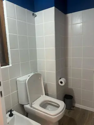 a bathroom with a white toilet and a sink at Departamento Blue - Piso 1 Laprida Once in Cordoba
