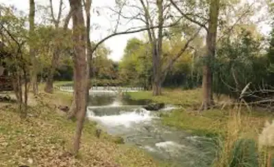 a stream of water in a field with trees at Kapo TEAM , colibri in Villa Amancay