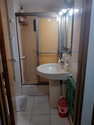 a bathroom with a sink and a shower at Habitación silenciosa Nº1 en Dpto Compartido in Cordoba
