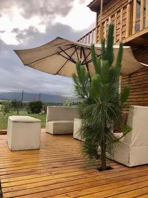 a wooden deck with an umbrella and a palm tree at Cabaña Snowflakes in Villa Yacanto